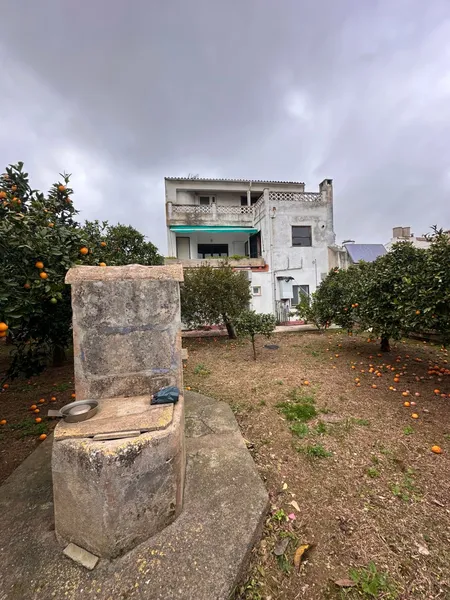 Detached Villa in Felanitx — photo 3