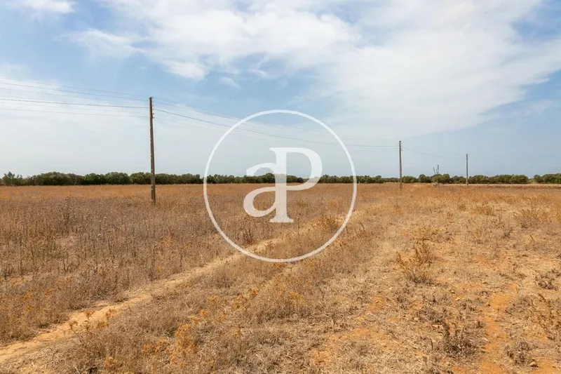 Land in Campos, Province of Balearic Islands — photo 9