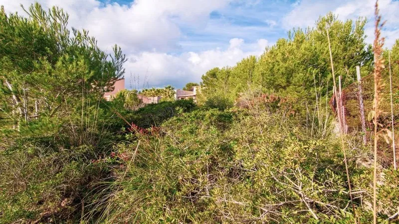 Land in Capdepera, Province of Balearic Islands — photo 11