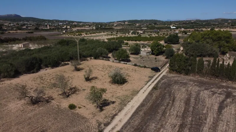 Rustic plot of 1,753 m² near Porreres — photo 5