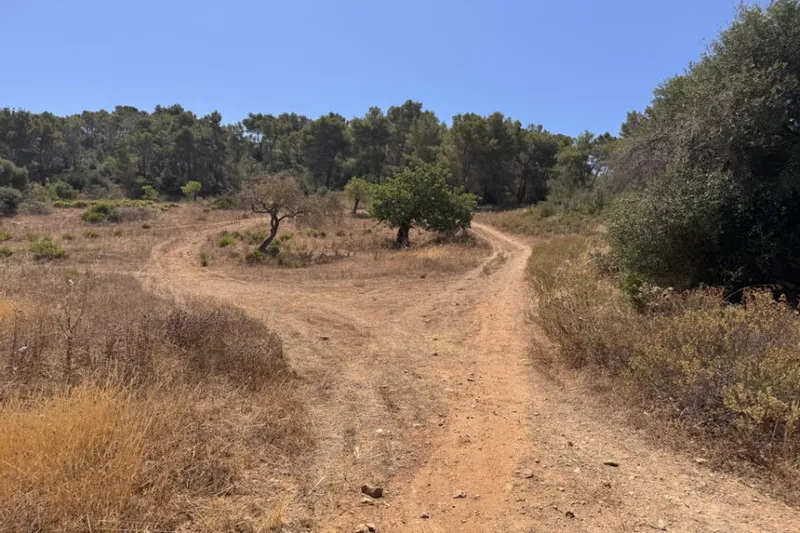 Dream plot with basic project and mountain views near Es Carritxo — T 20 — photo 7
