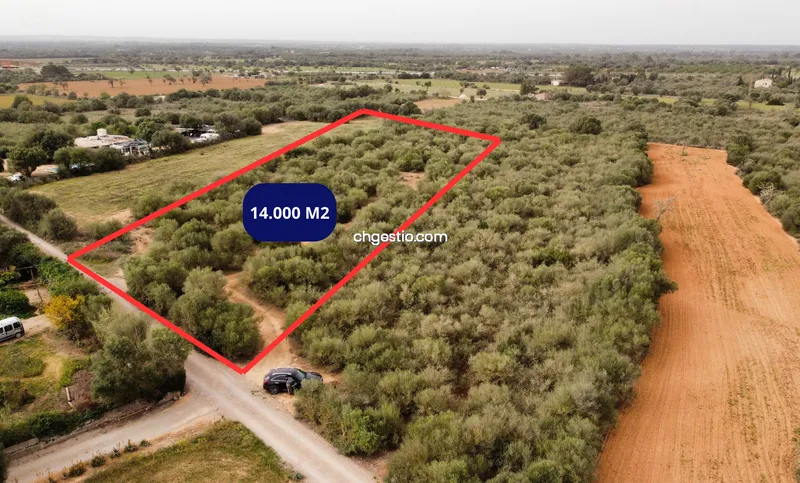 Plot in Campos — photo 2