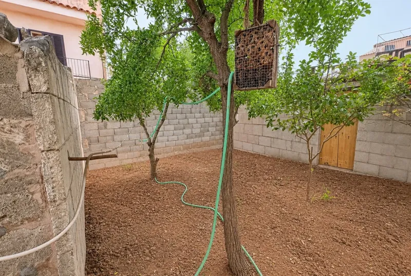 Plot in Manacor — photo 4