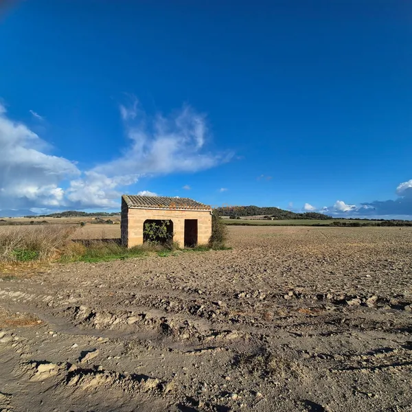 Buildable rustic plot for sale in Montuïri — photo 2