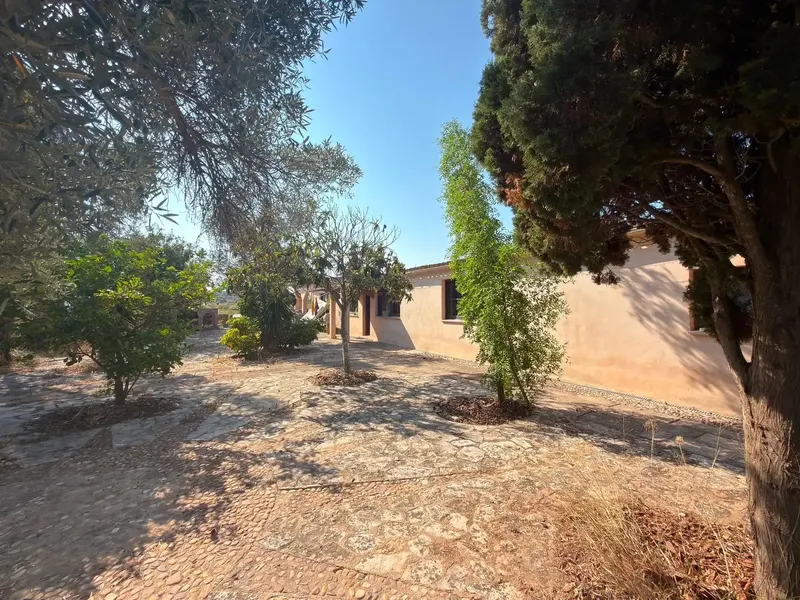 This extraordinary estate located in S'Aranjassa combines the charm of a traditional Mallorcan finca with multiple possibilities of use. — photo 4