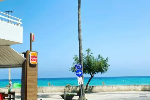 Land in Son Servera, Mallorca — photo 6