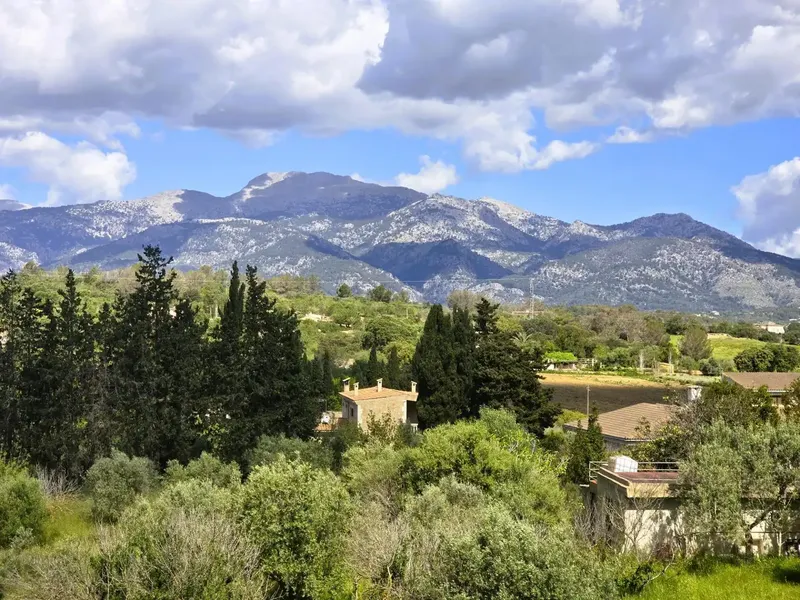 Coco Inmobiliaria Offers — photo 2