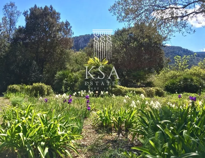 Rustic Finca — photo 7