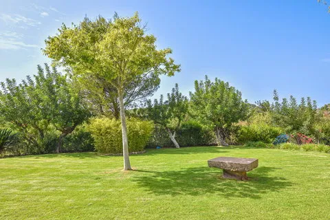 Country house in Port de Sóller, Mallorca — photo 9