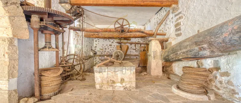Charming rustic finca in Estellencs in the Tramuntana with partial sea views and olive grove — photo 6