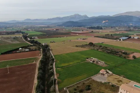 Land in Sa Pobla, Mallorca — photo 4