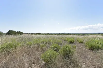 Land in Felanitx — photo 1
