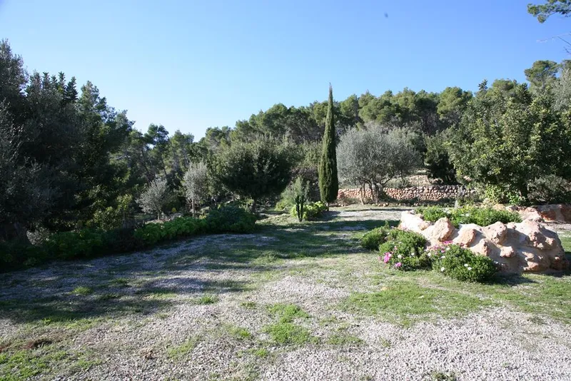 Ref. 2273C – Andratx – Beautiful restored finca — photo 3