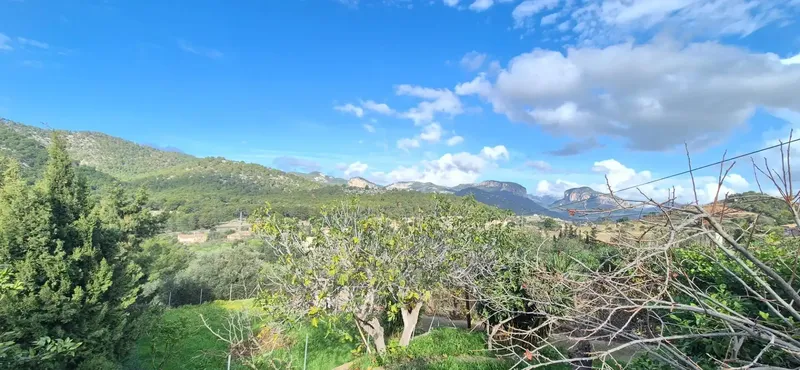 Located in an open and quiet environment, next to the renowned Oloron winery, this property sits on a generous plot of over — photo 6