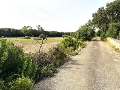 Rural Land - Sineu, Plot Surface 21,300 m² — photo 3