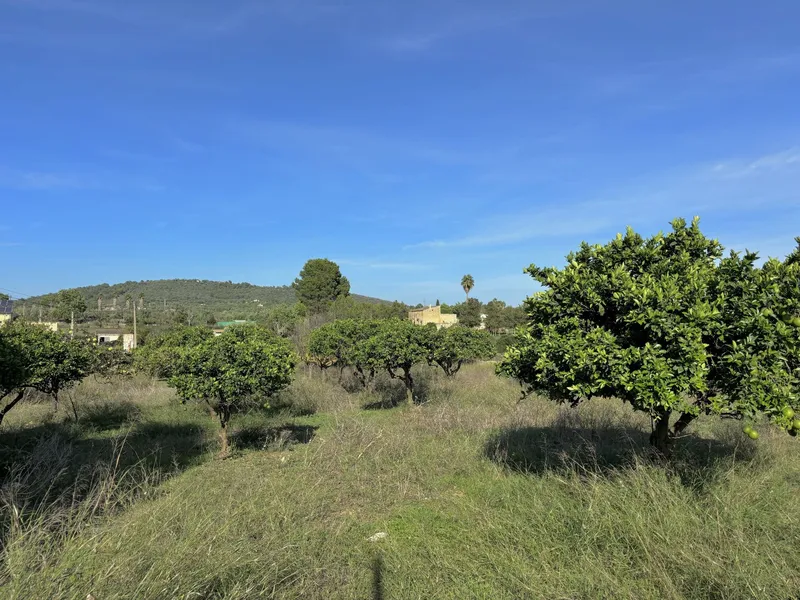 House / Chalet in Manacor — photo 12