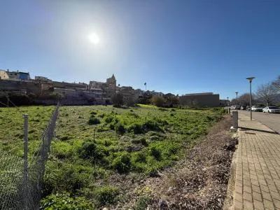 Building Site - Montuïri — photo 3