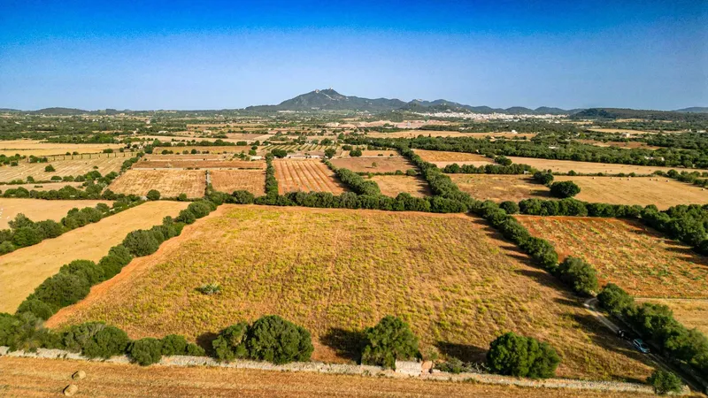 Plot in Felanitx with potential for your dream home — photo 6