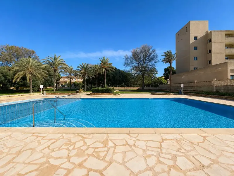 Discover this charming renovated studio located in Cales de Mallorca! — photo 10