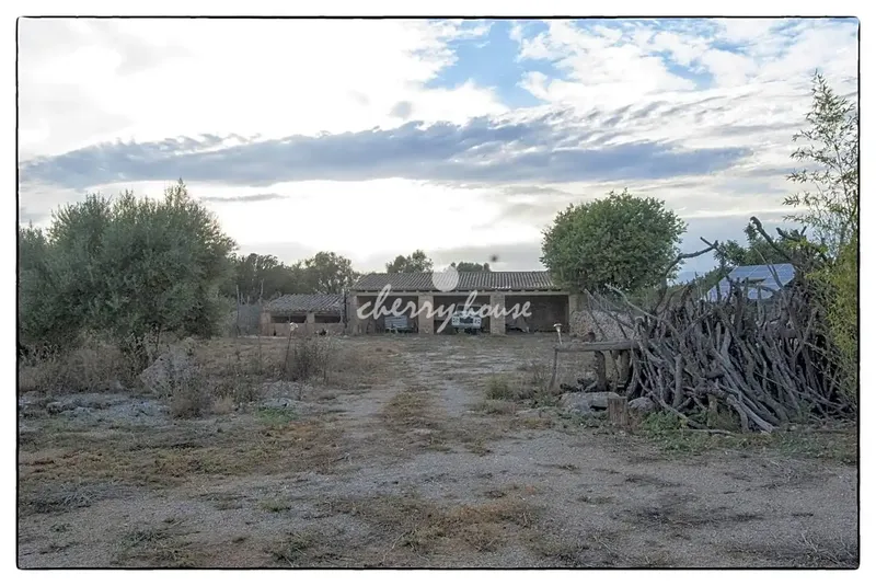 Exclusive rustic estate of Son Marrón, result of segregations of the ancient Islamic farmhouse, which in the year 1232 was called Beni-Taref — photo 12