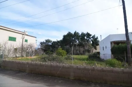 Rural Land - Santanyí (Alqueria Blanca) — photo 6