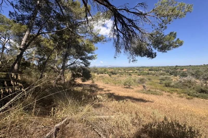 Dream plot with basic project and mountain views near Es Carritxo — T 20 — photo 2