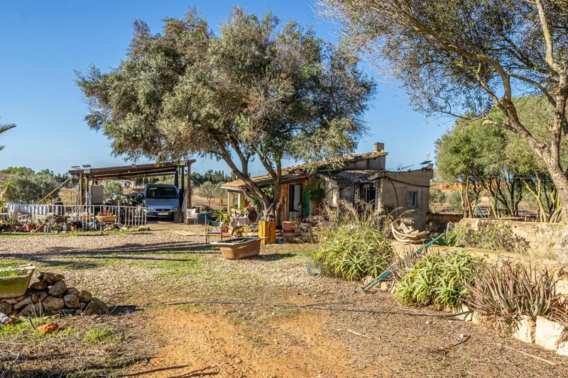We present this rustic estate in the town of Llucmajor. The land has an area of 24,416 square meters with several buildings — photo 12