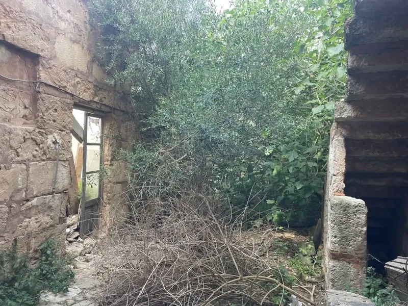 House with garden and patio to renovate — photo 2