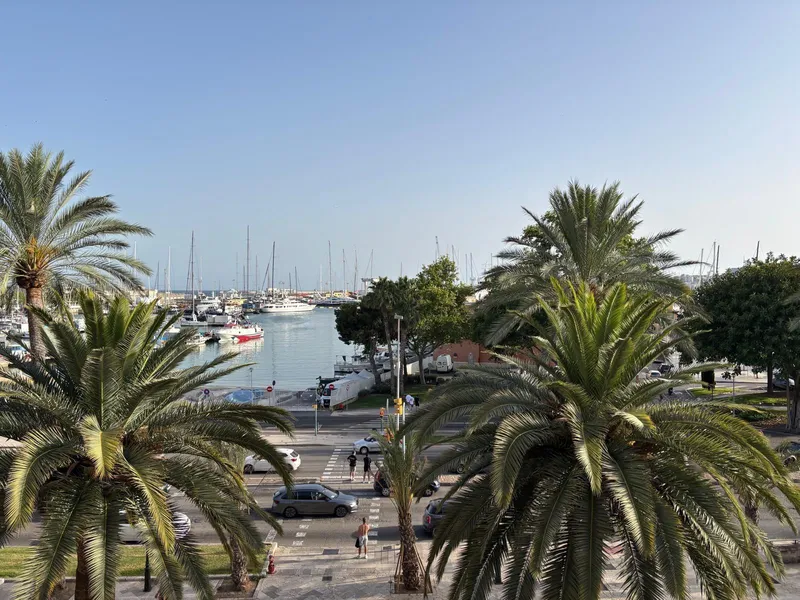Ground Floor Duplex Exterior in La Lonja-Borne, Palma de Mallorca – Unique Opportunity for €510,000 — photo 3
