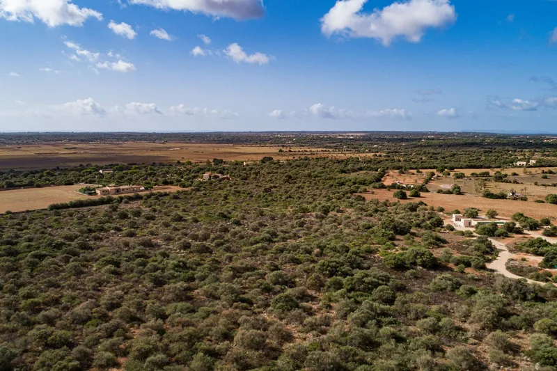 Large finca plot with planning permission and open views near Santanyí — photo 1