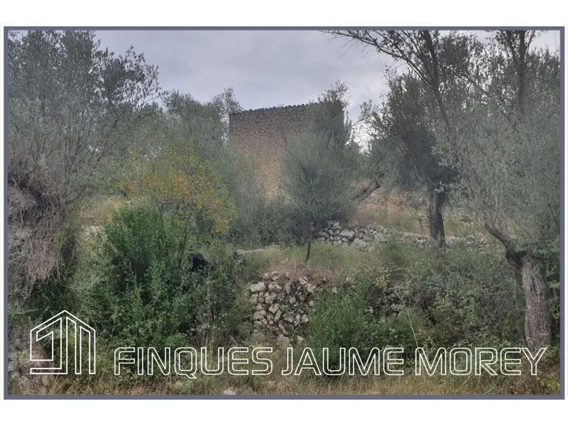 Rustic house — photo 12