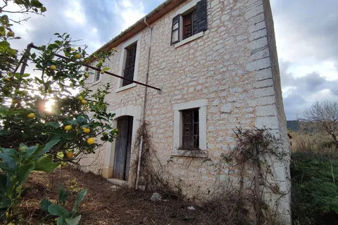 Finca in Binissalem, Mallorca — photo 6