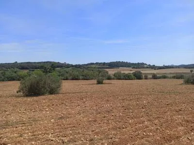 Beautiful quiet plot for sale with project Manacor San Lorenzo — photo 11
