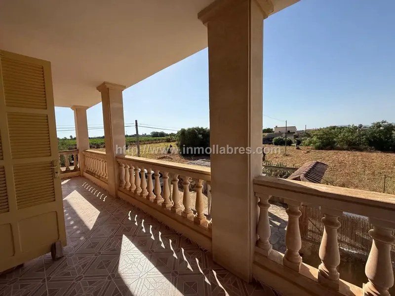 Finca Rústica con Vivienda en Biniali - Sencelles — photo 12