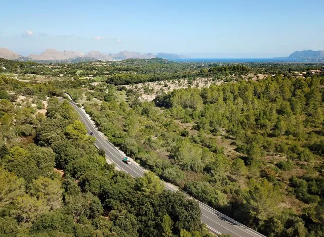 Large country plot for sale near the town of Pollensa, Mallorca — photo 7
