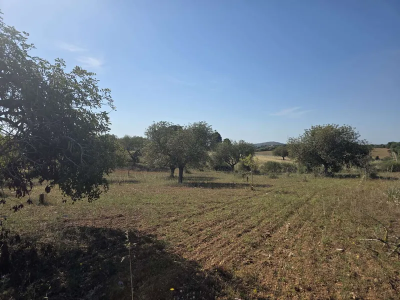 Exclusive building plot with panoramic views — photo 1
