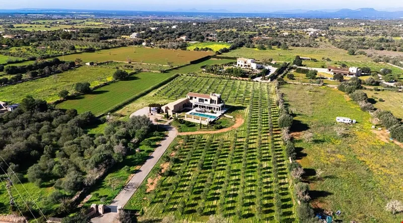 Contemporary architectural villa with expansive views for sale in Santanyí — photo 4