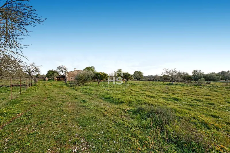 Rustic Finca for sale in María de la Salut — photo 3