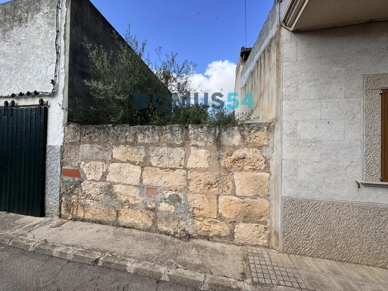 plot in Sa Pobla — photo 2