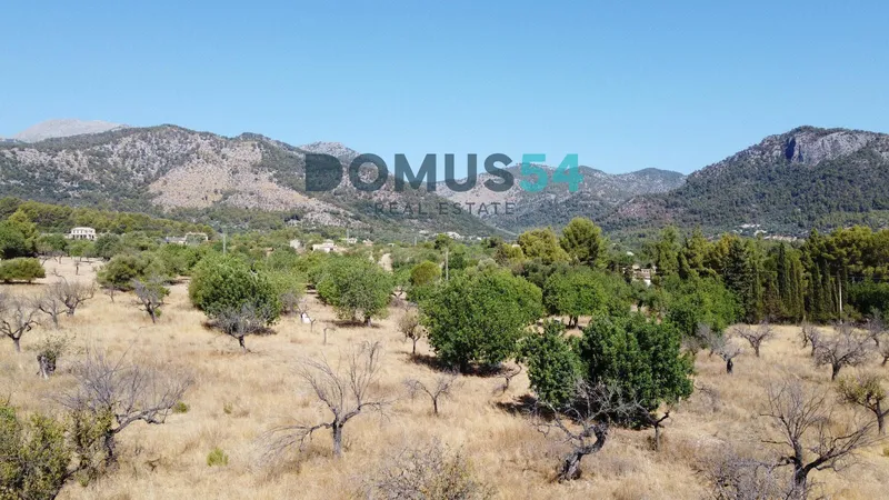 Rustic building plot in Moscari with project and license — photo 8