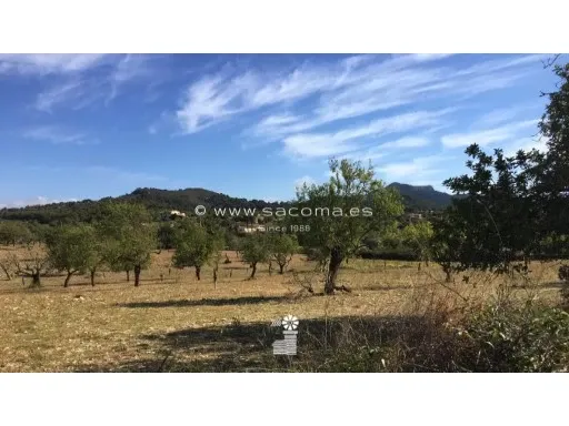 Buildable rustic plot with building permit — photo 1
