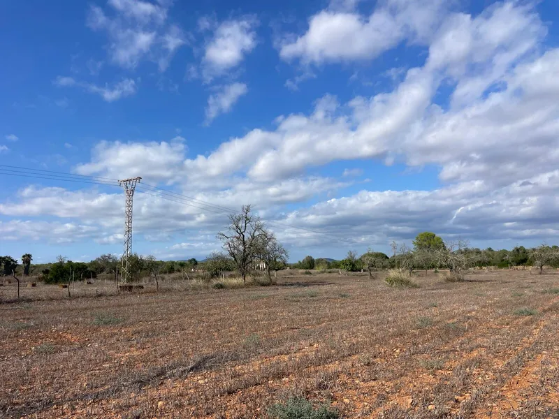 Buildable plot in a quiet area between Campos and Sa Ràpita — photo 3
