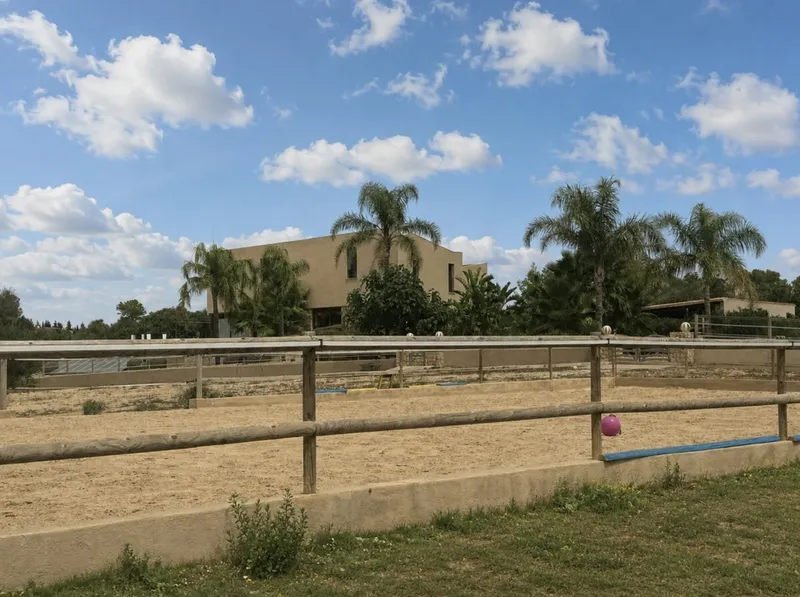 Attention Horse Lovers: Luxury Finca Near Montuïri with a Pool, Horse Stabling, ... — photo 6