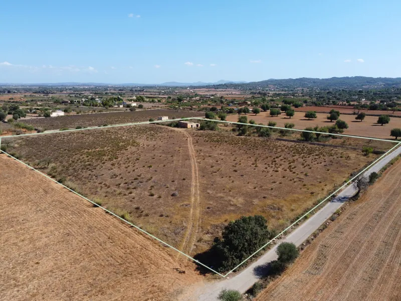Buildable plot in Felanitx of 21,710 m2 — photo 8