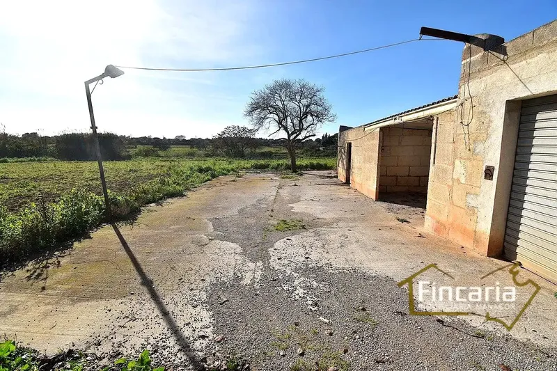 Sensational agricultural warehouse in perfect condition located in the Son Llunes area, 2.5 km from Manacor. Warehouse of 85 m — photo 7