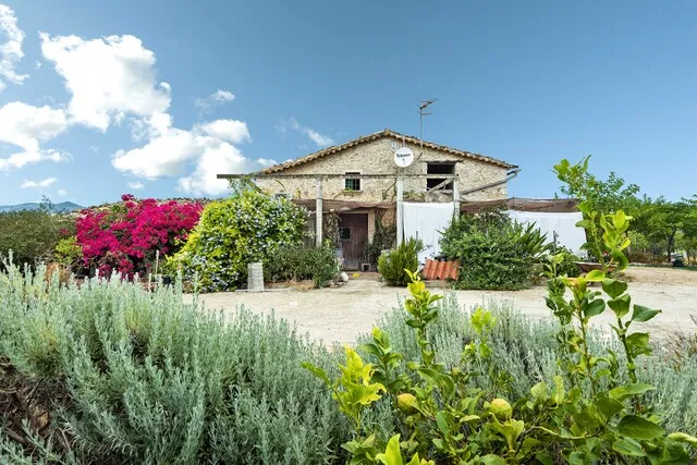 Rustic finca on a large countryside plot for sale in Selva, central Mallorca — photo 2