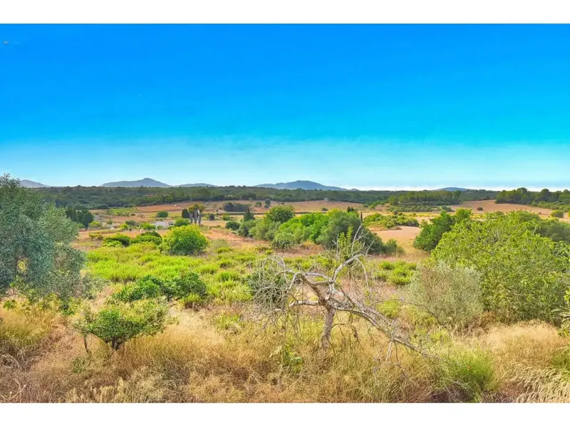 Two minutes from Santa Margalida, on the way to the beach we find this property with a plot of 7048 m2 and buildings — photo 1