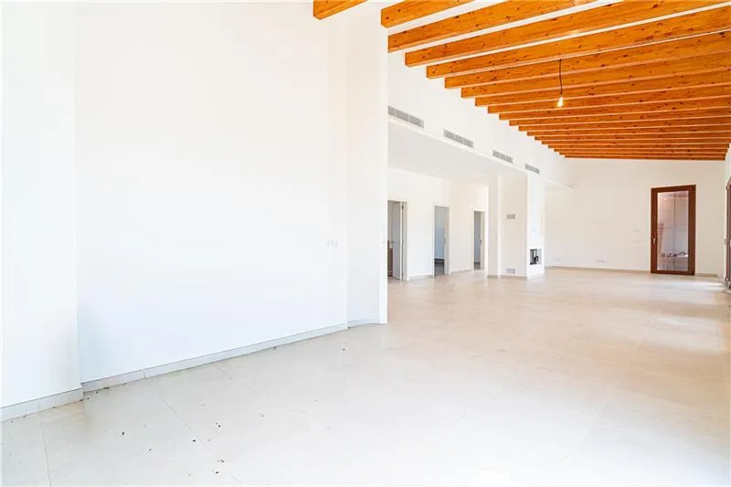 Newly built finca with swimming pool on a plot of approx. 27,000 m² with open views — photo 3
