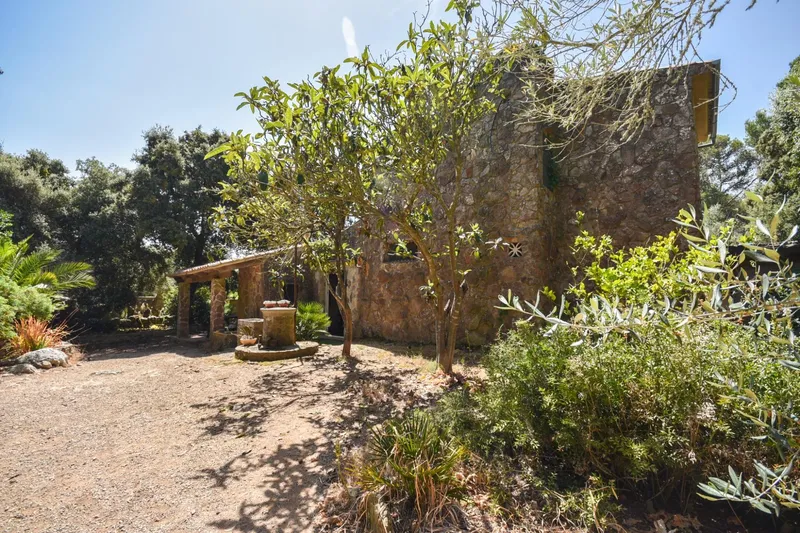 Rustic property - Puigpunyent (Puigpunyent) — photo 3