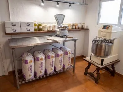 Business Premises - Son Servera (First line of Cala Millor beach) — photo 12